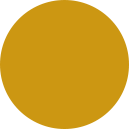 Discipline Foundation Policy